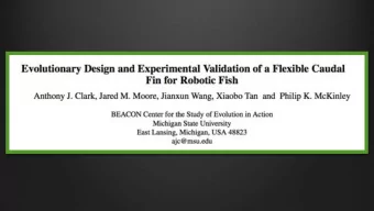 Biomutualism  Bio-inspiration  Material properties o Passive o Flexibility  Robotic Fish o