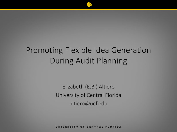 promoting flexible idea generation during audit planning