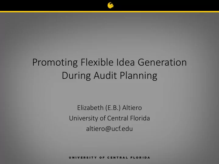 promoting flexible idea generation during audit planning