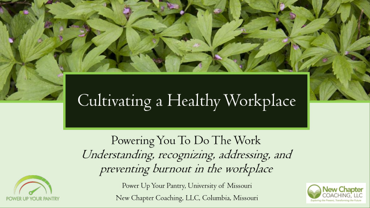 cultivating a healthy workplace