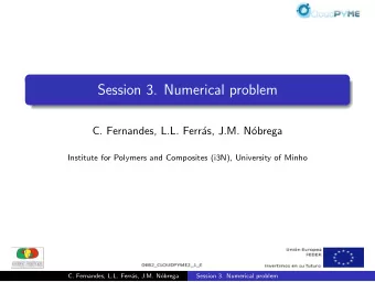 Session 3. Numerical problem  C. Fernandes, L.L. Ferr  as, J.M. N  obrega  Institute for