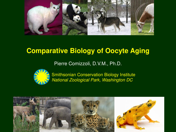 comparative biology of oocyte aging