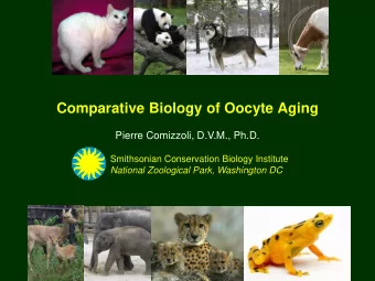 Comparative Biology of Oocyte Aging  Pierre Comizzoli, D.V.M., Ph.D.  Smithsonian Conservation