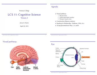 LCS 11: Cognitive Science  1. Neural retina  2. Lateral geniculate nucleus  Vision 2  3. Primary