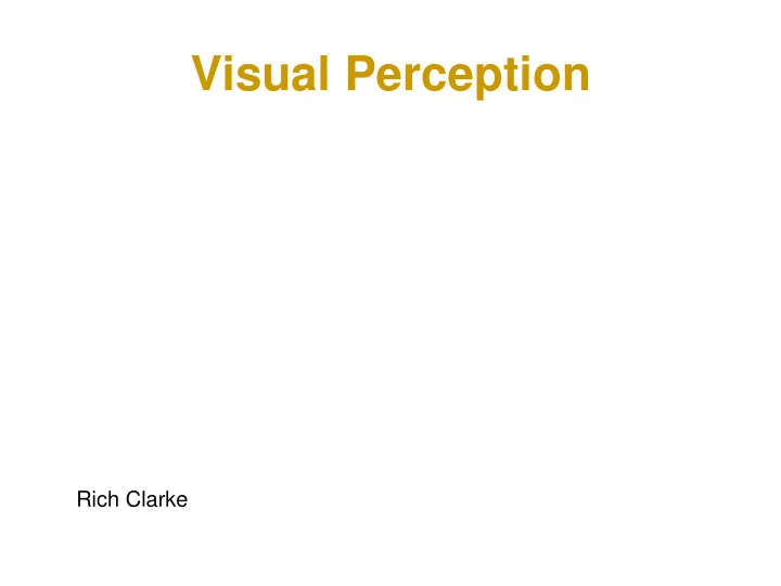 visual perception