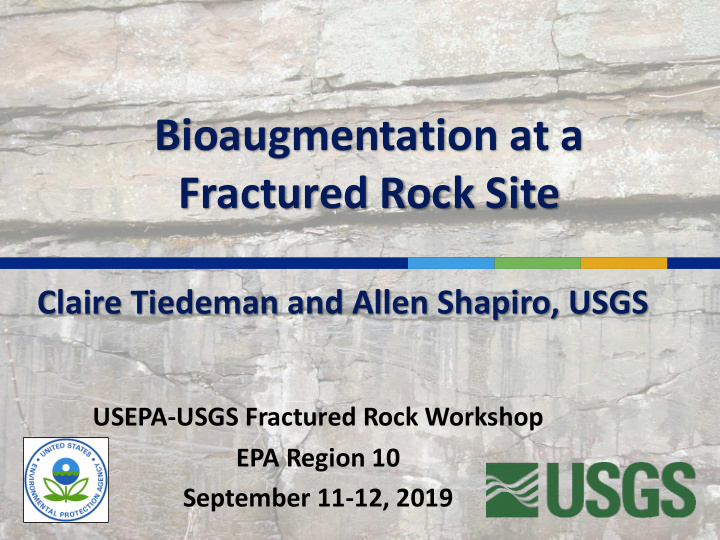 bioaugmentation at a fractured rock site