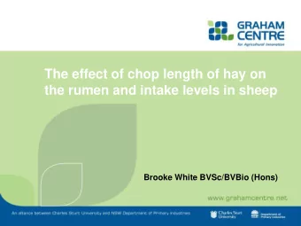 The effect of chop length of hay on  the rumen and intake levels in sheep  Brooke White BVSc/BVBio