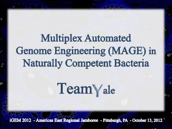 -Red recombination system  Gam  Exo  Beta  DNA replication fork  Costantino &amp;