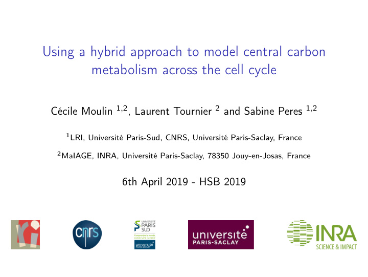 using a hybrid approach to model central carbon