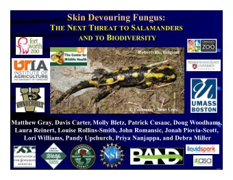 * 2015: UK (trade) and Germany (captivity) *  2016: Netherlands, Belgium, Germany (wild) *  14 of