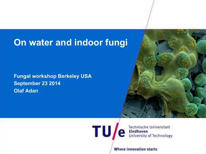 on water and indoor fungi