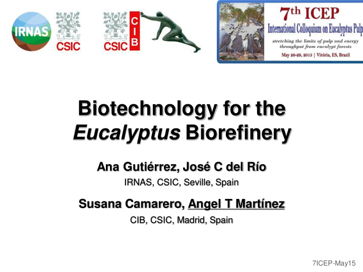 biotechnology for the eucalyptus biorefinery