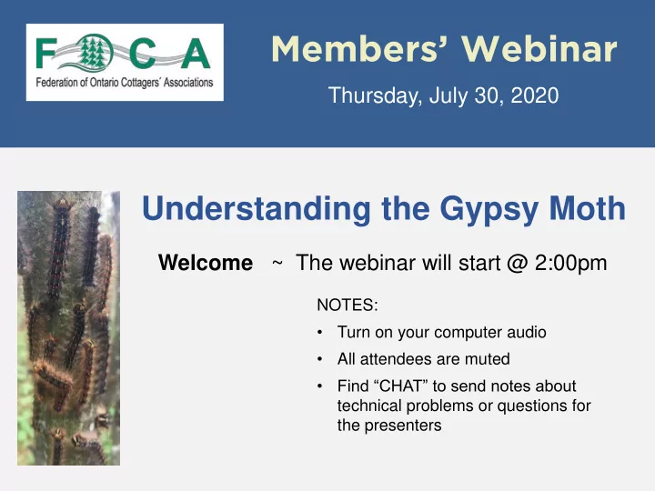 members webinar