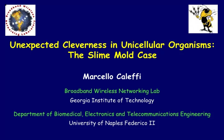 unexpected cleverness in unicellular organisms the slime
