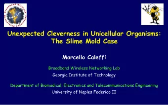 Unexpected Cleverness in Unicellular Organisms:  The Slime Mold Case  Marcello Caleffi  Broadband