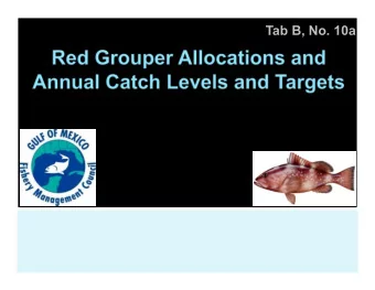 Tab B, No. 10a  Amendment 53 is being developed to revise the red grouper allocation    between