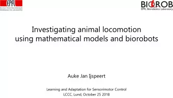 Investigating animal locomotion  using mathematical models and biorobots  Auke Jan Ijspeert