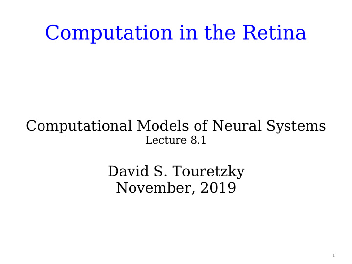 computation in the retina