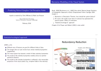 Normative Modelling of the Visual System  Predicting Retinal Ganglion Cell Receptive Fields  Book: