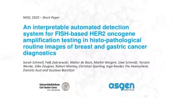 An interpretable automated detection  system for FISH-based HER2 oncogene  amplification testing in