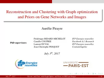 Reconstruction and Clustering with Graph optimization  and Priors on Gene Networks and Images