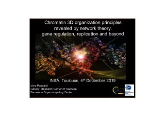 Chromatin 3D organization principles revealed by network theory :  gene regulation, replication and