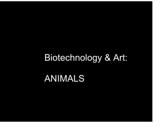 Biotechnology &amp; Art:  ANIMALS  Joseph Beuys  What is a TRANSGENIC ANIMAL?  Animals for GENE