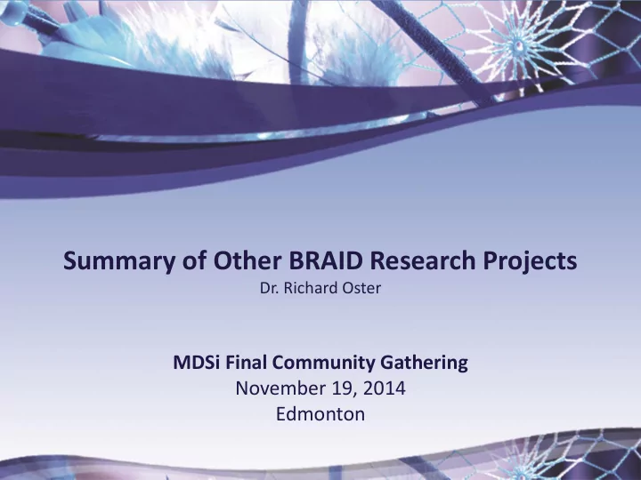 summary of other braid research projects