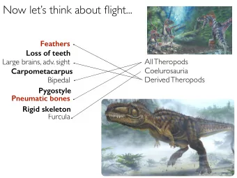 Now lets think about flight...  Feathers  Loss of teeth  Loss of teeth  All Theropods  Large