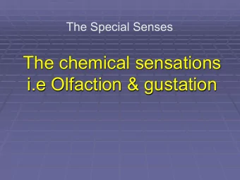 The chemical sensations  i.e Olfaction &amp; gustation  Definitions  Olfaction: The ability to