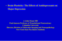 brain plasticity the effects of antidepressants on major