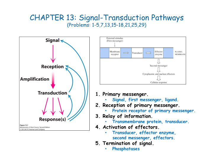 chapter 13 signal transduction pathways