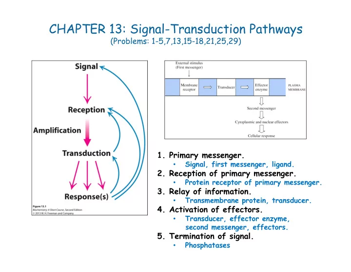 chapter 13 signal transduction pathways