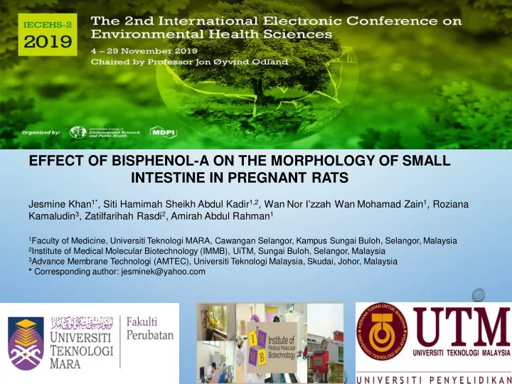 effect of bisphenol a on the morphology of small