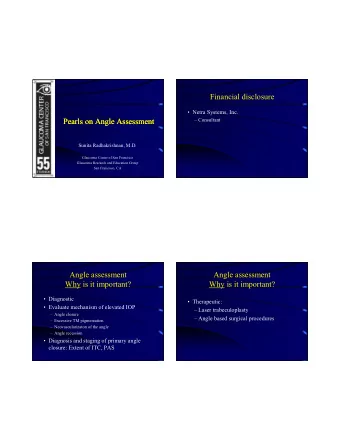 Financial disclosure   Netra Systems, Inc.  Pearls on Angle Assessment  Pearls on Angle