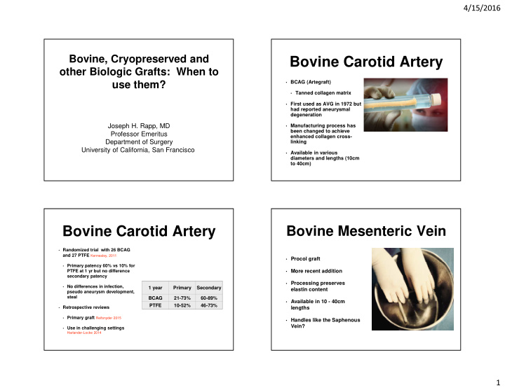 bovine carotid artery