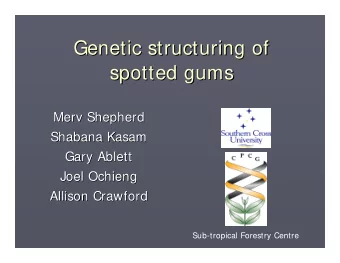 Genetic structuring of  Genetic structuring of  spotted gums  spotted gums  Merv Shepherd  Merv