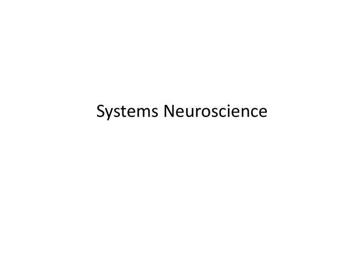 systems neuroscience the cns sensory areas senses
