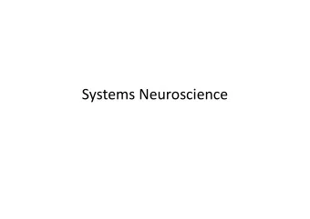 Systems  Neuroscience    The  CNS    Sensory  Areas    Senses    sight