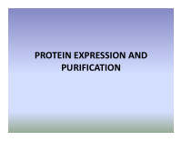 protein expression and purification protein expression