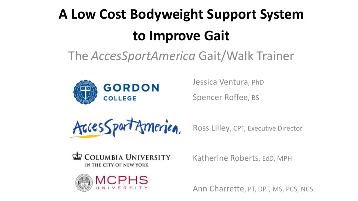 a low cost bodyweight support system