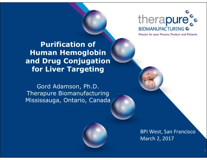 purification of human hemoglobin and drug conjugation for