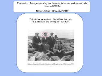 Elucidation of oxygen sensing mechanisms in human and animal cells  Peter J. Ratcliffe  Nobel