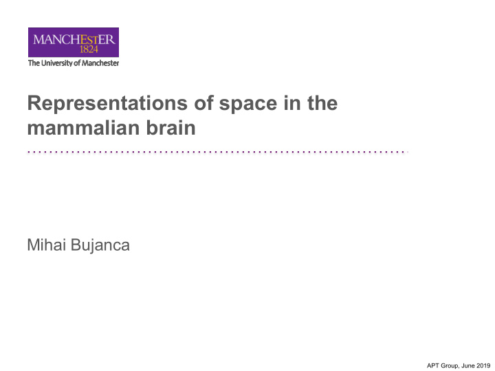representations of space in the mammalian brain