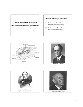 1  Brenda Milner 1918  There are Two Major Forms of Long Term Memory  Explicit (Declarative)