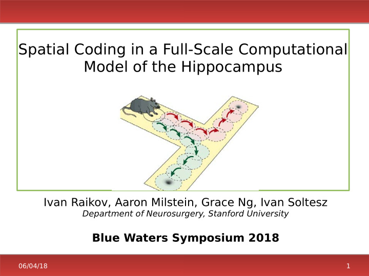 spatial coding in a full scale computational model of the