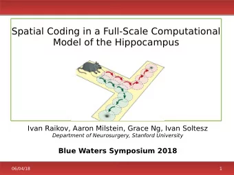 Spatial Coding in a Full-Scale Computational  Model of the Hippocampus  Ivan Raikov, Aaron