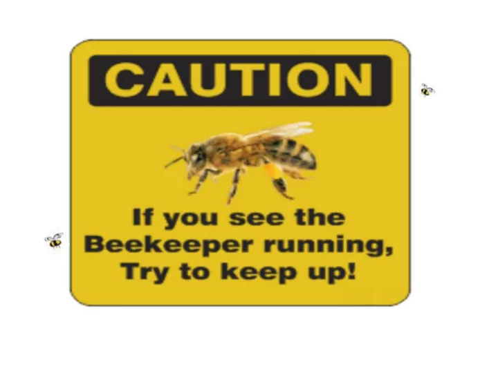 beekeeping land valuation production vs processing