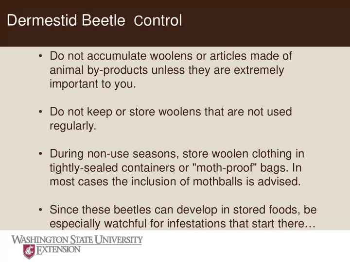 dermestid beetle c ontrol
