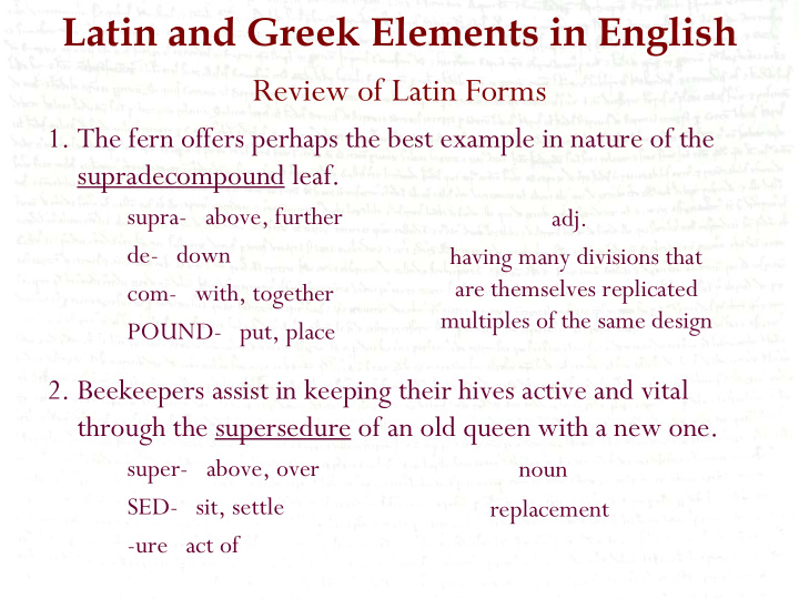 latin and greek elements in english